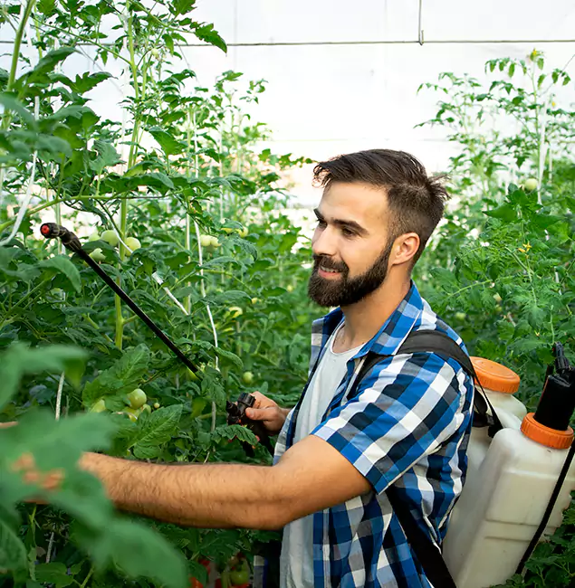 Why Klamath Falls Homeowners Choose Klamath Falls Pest Control Pro for Mosquito Spraying?