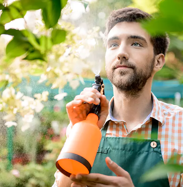 Why Klamath Falls Homeowners Call Klamath Falls Pest Control Pro for Mosquitoes in House?