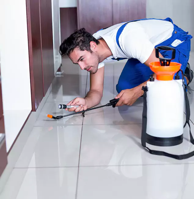Why Klamath Falls Pest Control Pro Is the Proven Choice in Klamath Falls, OR?