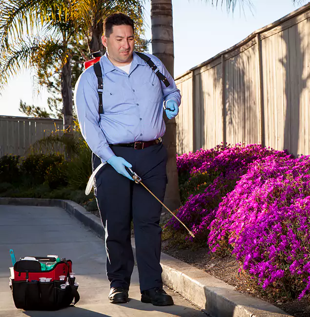 Why Choose Klamath Falls Pest Control Pro in Klamath Falls, OR?