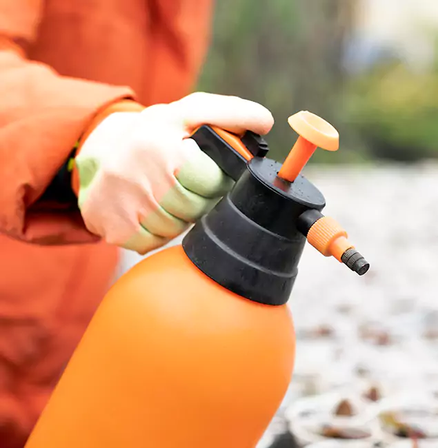 Why Choose Klamath Falls Pest Control Pro for Orange Termite Treatment in Klamath Falls, OR?