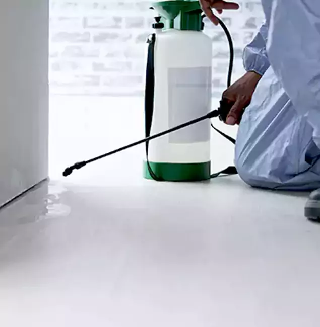Why Choose Klamath Falls Pest Control Pro for Rat Exterminator in Klamath Falls, OR?