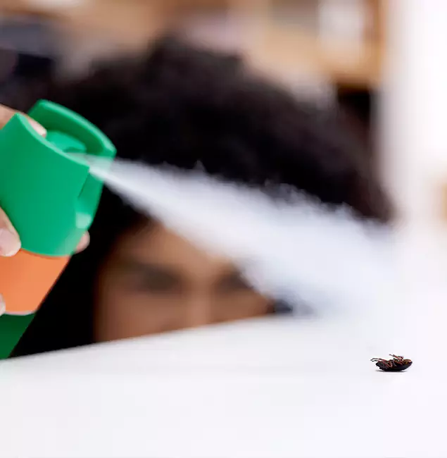 Why Klamath Falls, OR Homeowners Choose Klamath Falls Pest Control Pro for Roach Pest Control?