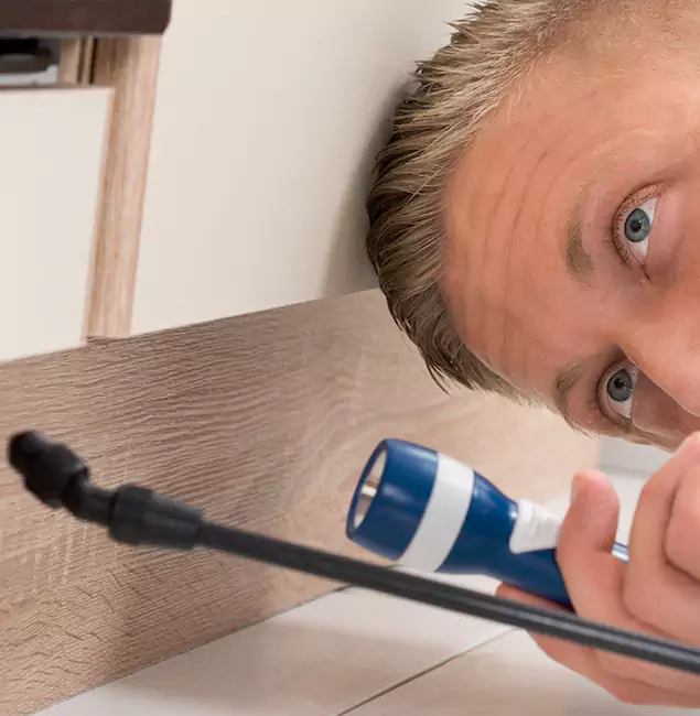 Why Choose Klamath Falls Pest Control Pro for Rodent Exterminator in Klamath Falls, OR?