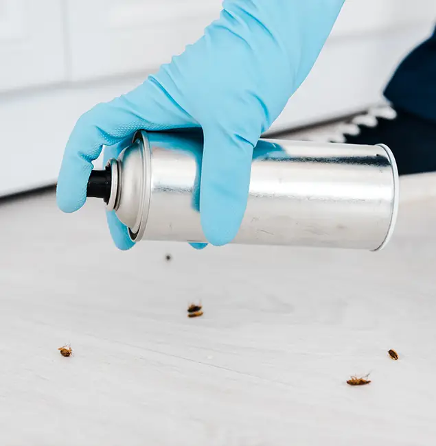 Why Choose Klamath Falls Pest Control Pro for Safe Bed Bug Treatment in Klamath Falls, OR?