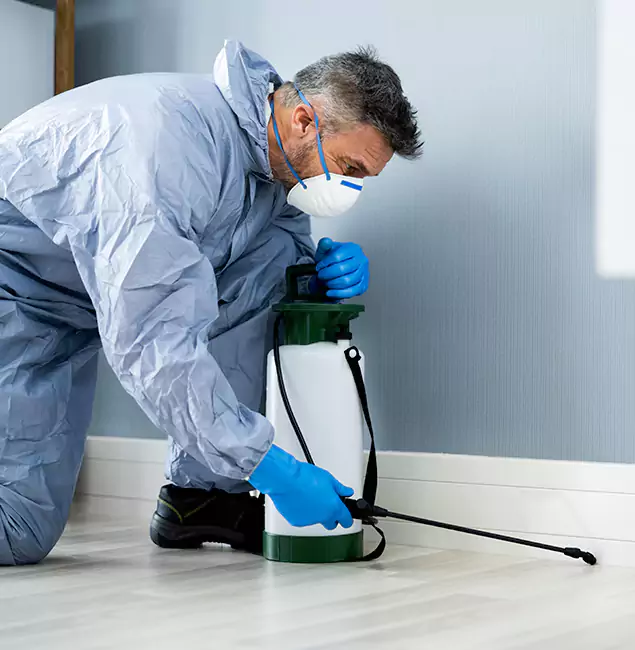 Why Choose Klamath Falls Pest Control Pro for Subterranean Termites Treatment in Klamath Falls, OR?