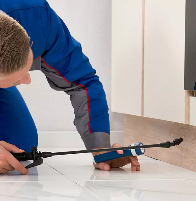 Why Klamath Falls Residents Choose Klamath Falls Pest Control Pro to Get Rid of Sugar Ants?