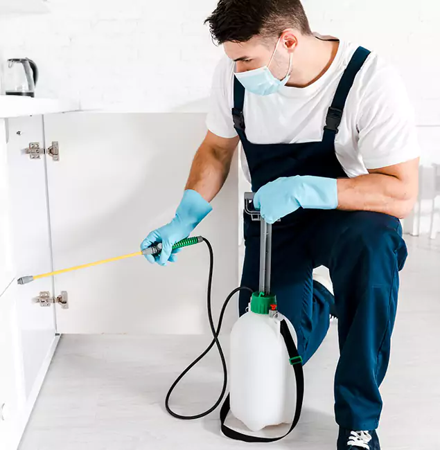 Why Choose Klamath Falls Pest Control Pro for Termite Spot Treatment in Klamath Falls, OR?