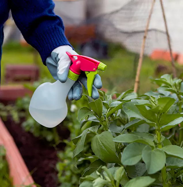 Why Klamath Falls Relies on Klamath Falls Pest Control Pro for Wasp Control Services?