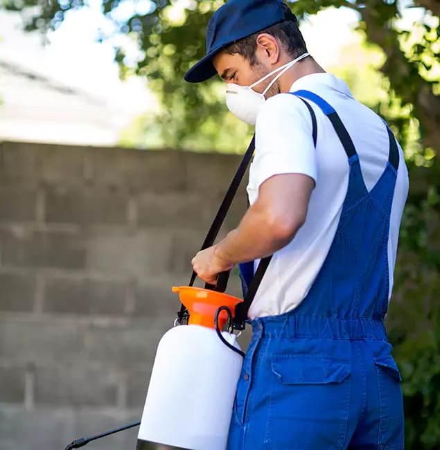 Why Klamath Falls Pest Control Pro Is the Right Choice for Yellow Jacket Removal in Klamath Falls, OR?