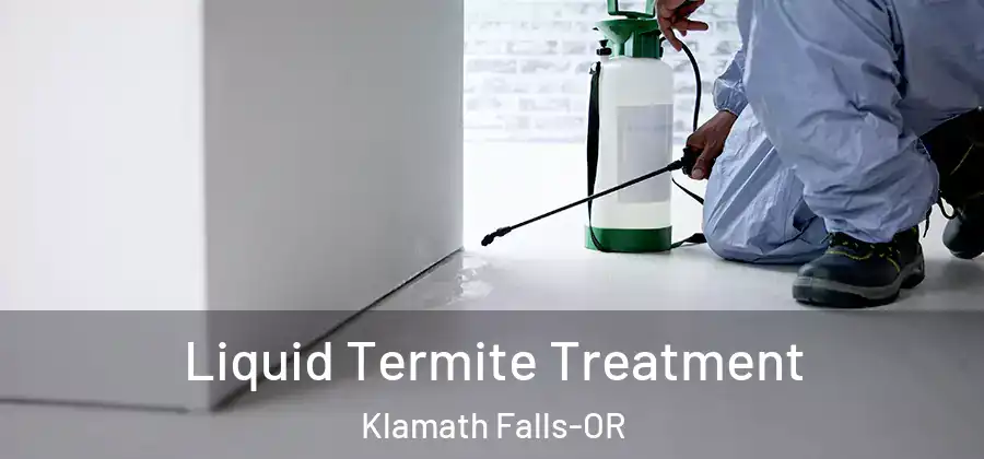  Liquid Termite Treatment Klamath Falls-OR