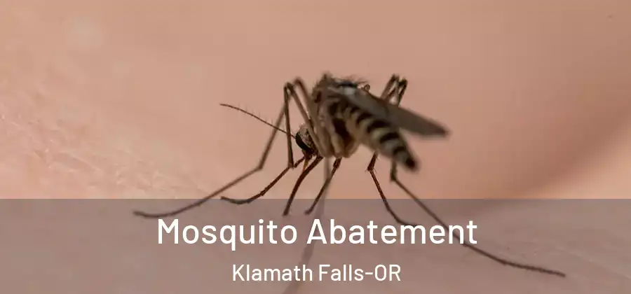 Mosquito Abatement Klamath Falls-OR