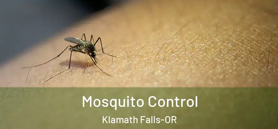 Mosquito Control Klamath Falls-OR