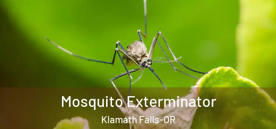 Mosquito Exterminator Klamath Falls-OR