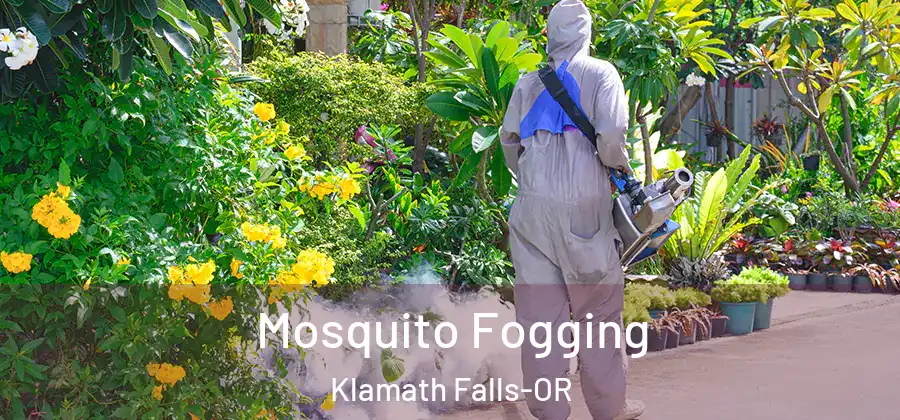 Mosquito Fogging Klamath Falls-OR