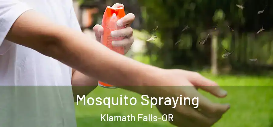  Mosquito Spraying Klamath Falls-OR