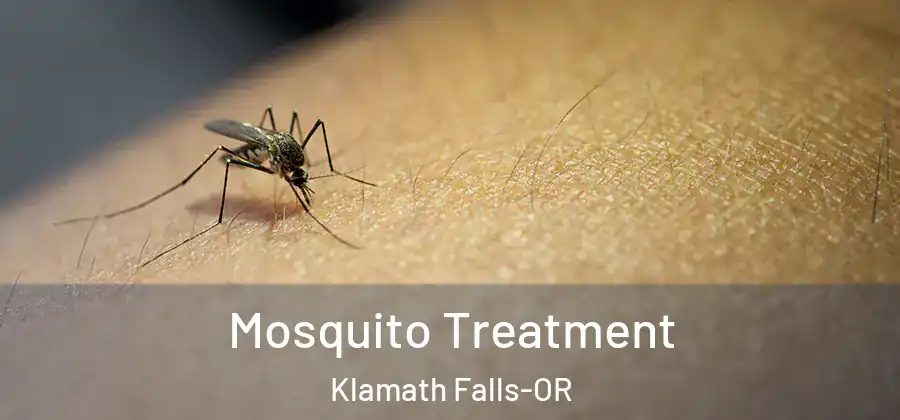  Mosquito Treatment Klamath Falls-OR