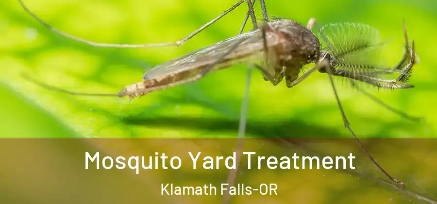  Mosquito Yard Treatment Klamath Falls-OR