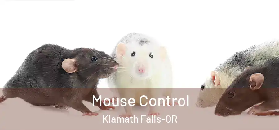  Mouse Control Klamath Falls-OR