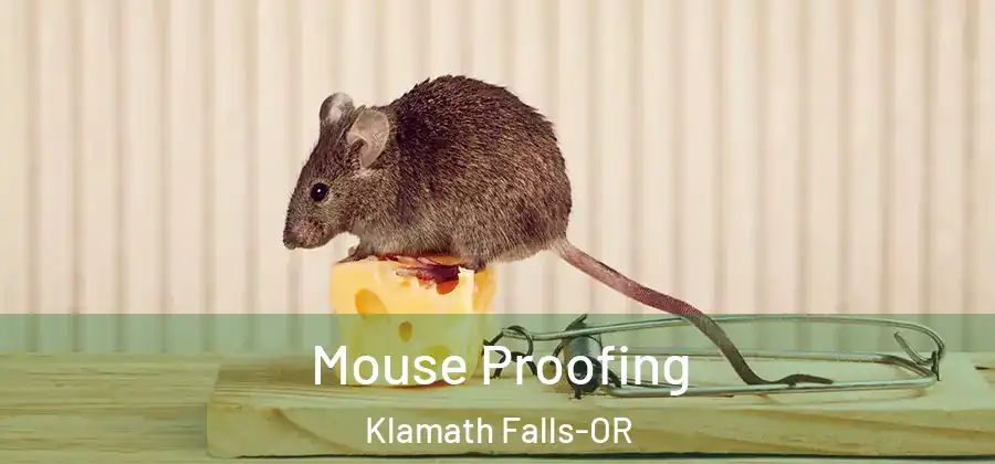  Mouse Proofing Klamath Falls-OR