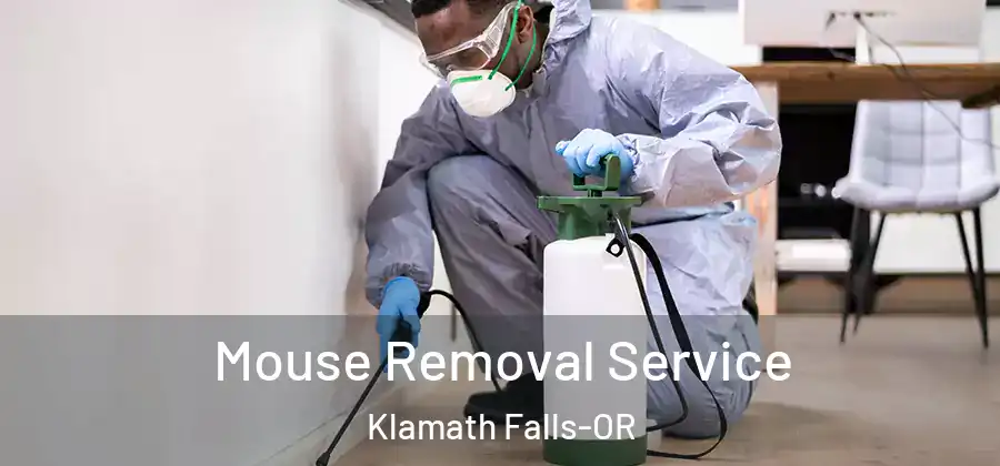  Mouse Removal Service Klamath Falls-OR