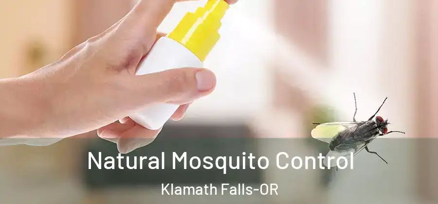 Natural Mosquito Control Klamath Falls-OR
