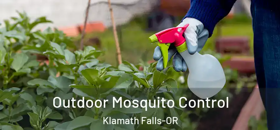 Outdoor Mosquito Control Klamath Falls-OR