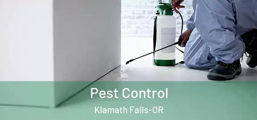 Pest Control Klamath Falls-OR