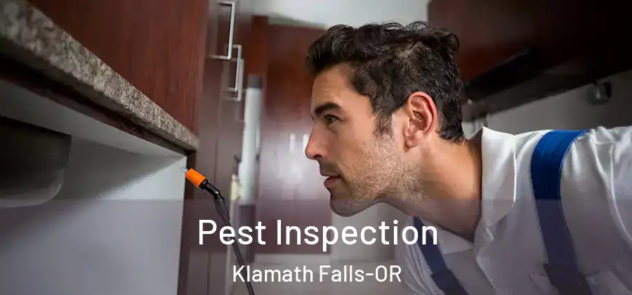 Pest Inspection Klamath Falls-OR