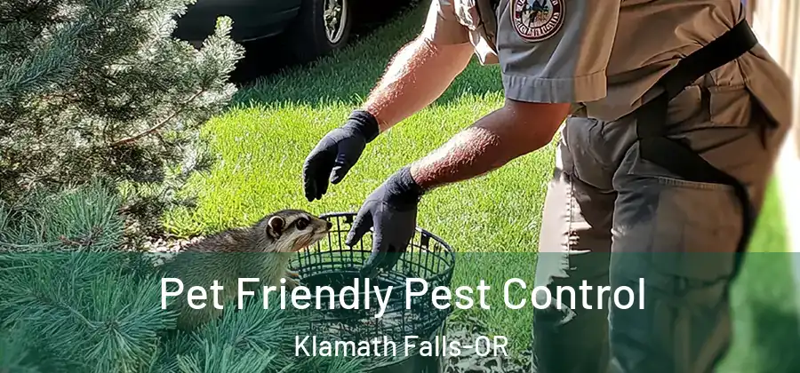 Pet Friendly Pest Control Klamath Falls-OR