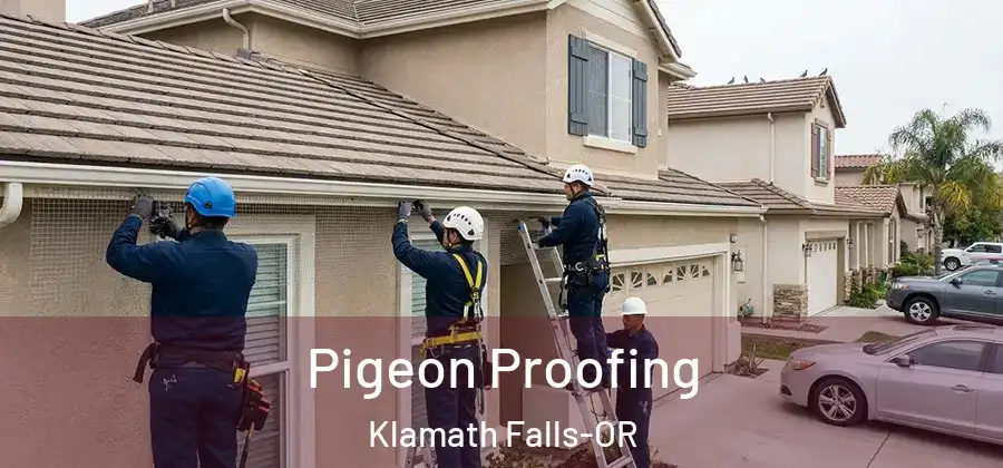  Pigeon Proofing Klamath Falls-OR