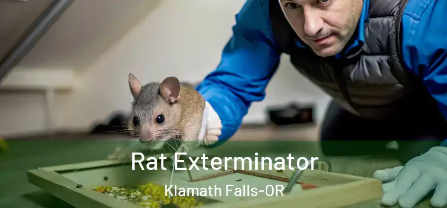 Rat Exterminator Klamath Falls-OR