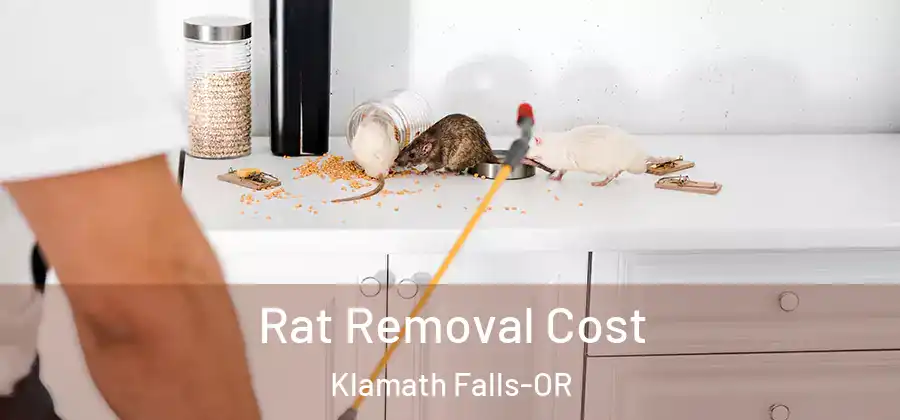 Rat Removal Cost Klamath Falls-OR