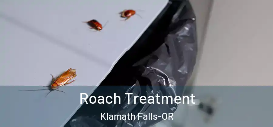  Roach Treatment Klamath Falls-OR