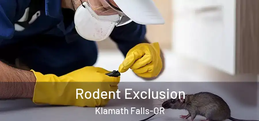 Rodent Exclusion Klamath Falls-OR