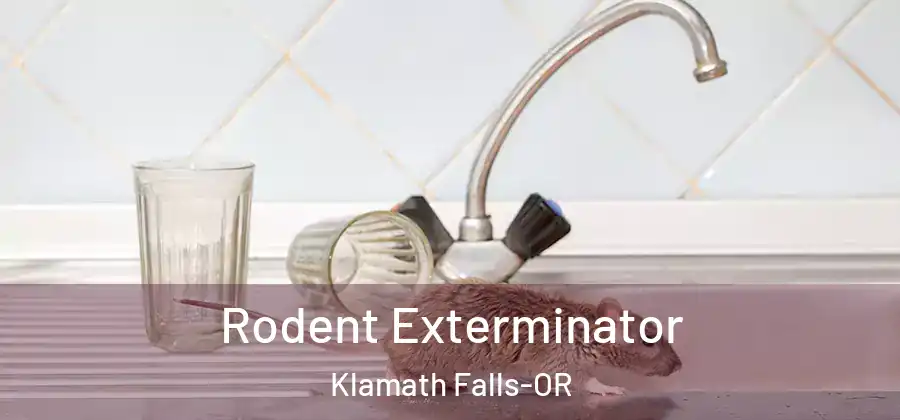  Rodent Exterminator Klamath Falls-OR