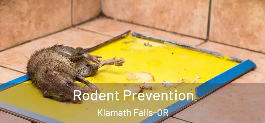  Rodent Prevention Klamath Falls-OR