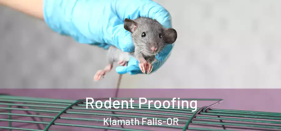  Rodent Proofing Klamath Falls-OR