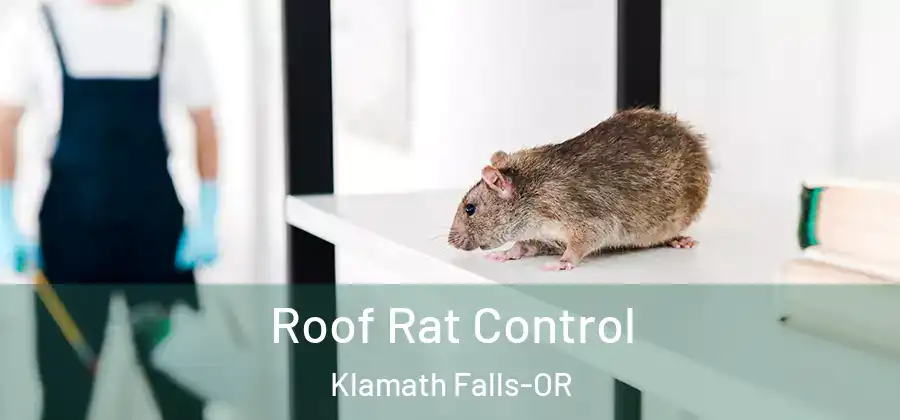 Roof Rat Control Klamath Falls-OR