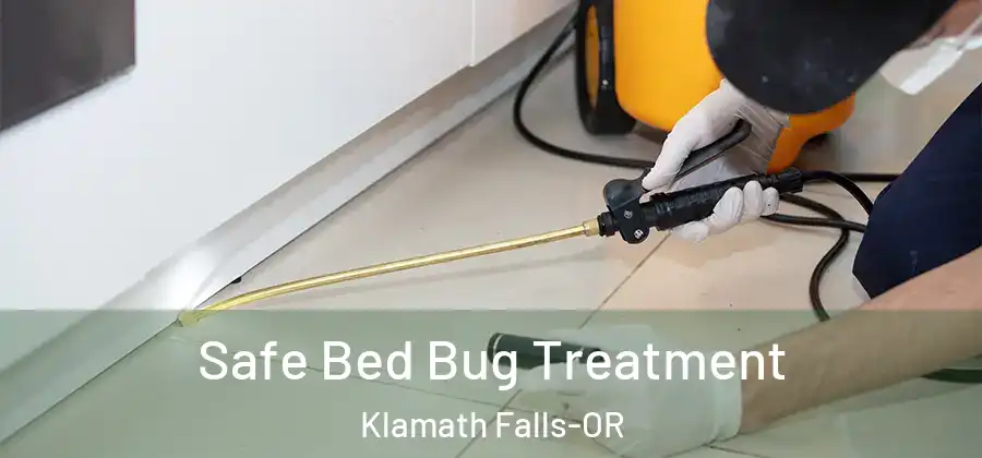 Safe Bed Bug Treatment Klamath Falls-OR