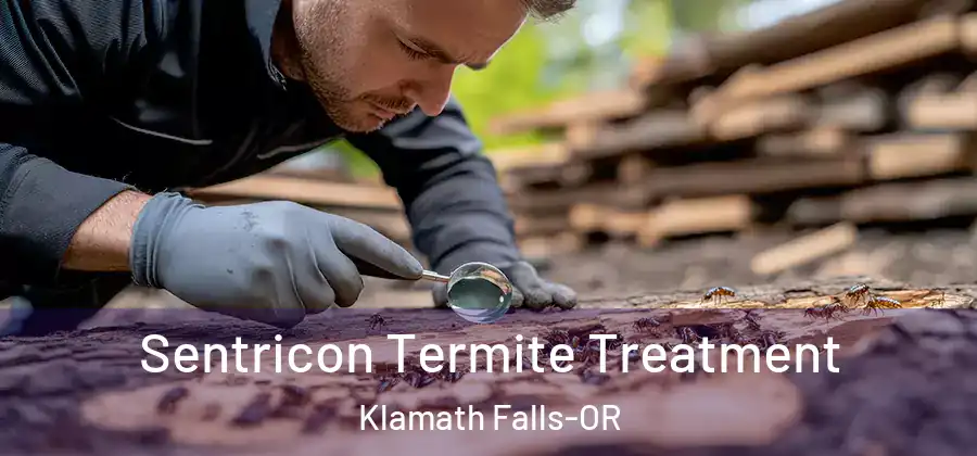  Sentricon Termite Treatment Klamath Falls-OR