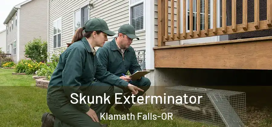 Skunk Exterminator Klamath Falls-OR