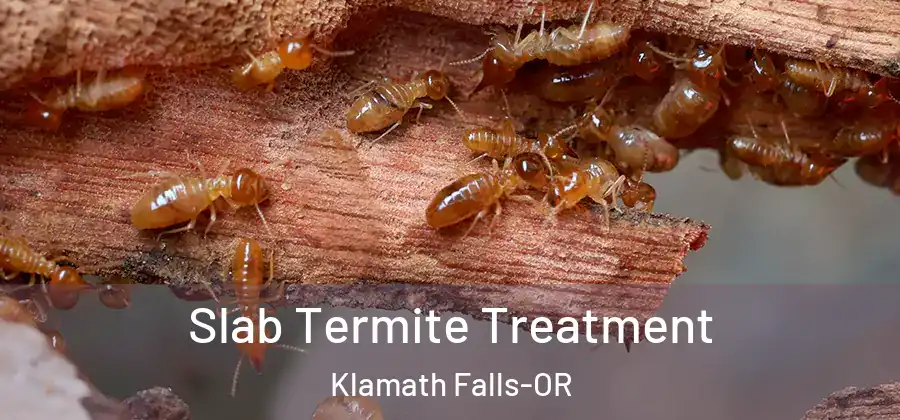 Slab Termite Treatment Klamath Falls-OR
