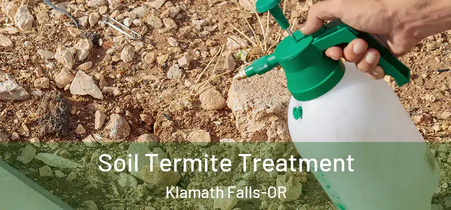 Soil Termite Treatment Klamath Falls-OR