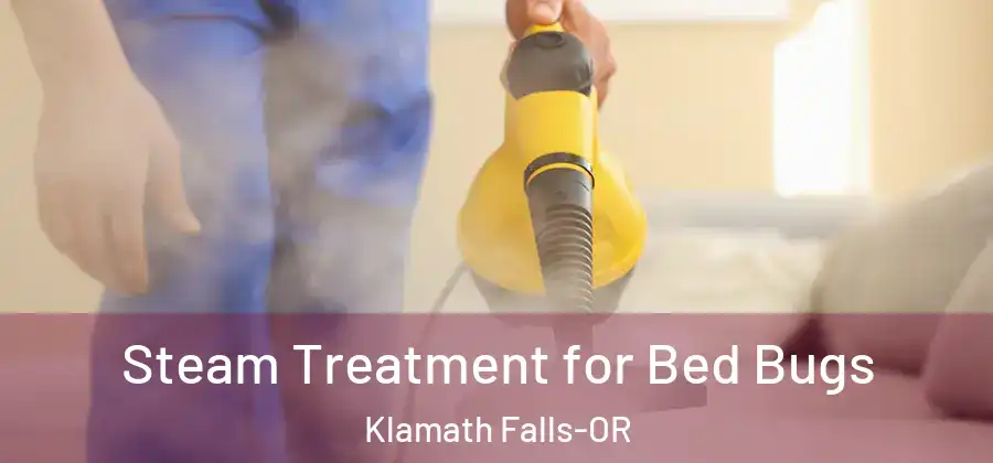  Steam Treatment for Bed Bugs Klamath Falls-OR