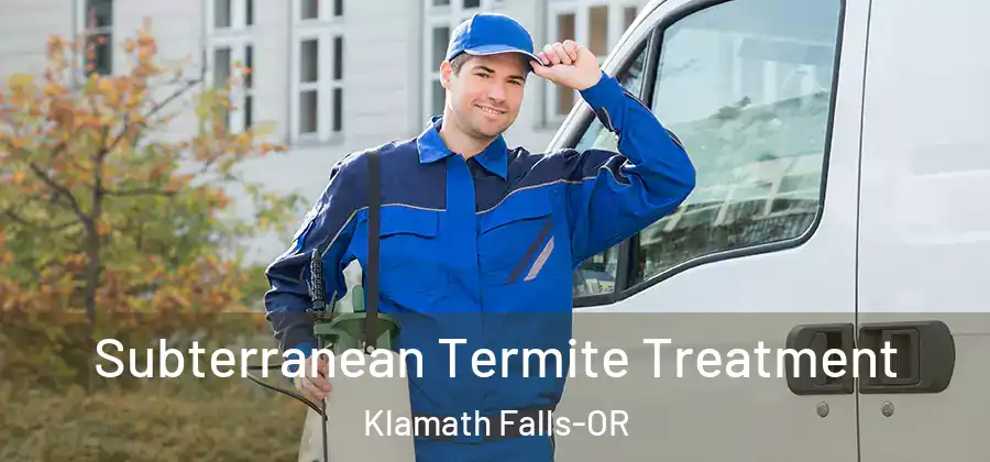 Subterranean Termite Treatment Klamath Falls-OR