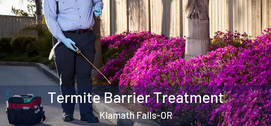  Termite Barrier Treatment Klamath Falls-OR