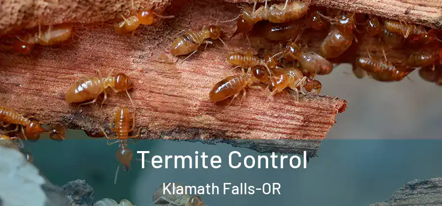  Termite Control Klamath Falls-OR