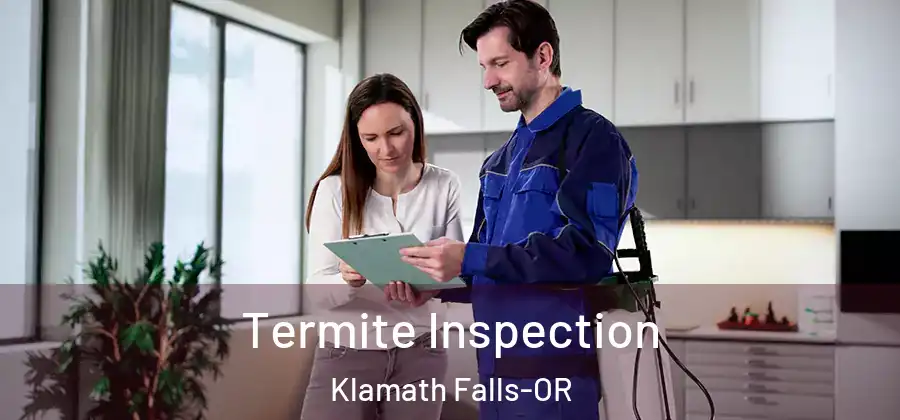  Termite Inspection Klamath Falls-OR