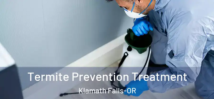 Termite Prevention Treatment Klamath Falls-OR